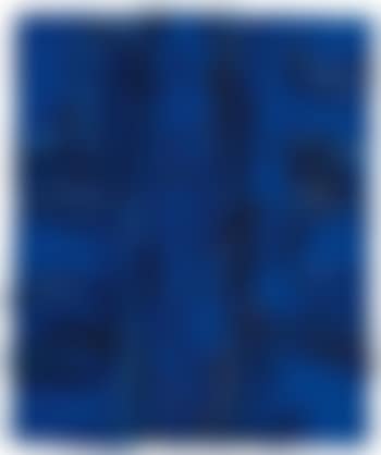 Eden blu (preview)