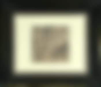 Study for black and white (preview)