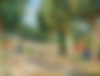 Paysage (preview)