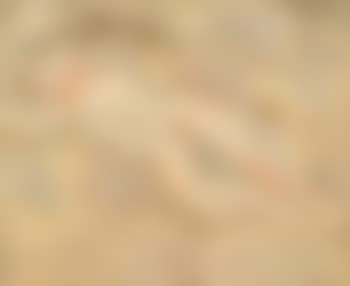 Reclining nude (preview)