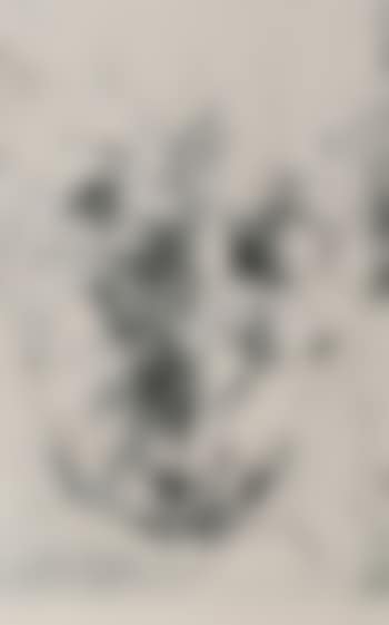 Witzwort 7.7.1973 (preview)