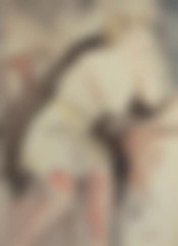 Femme à la fourrure, attablée (preview)