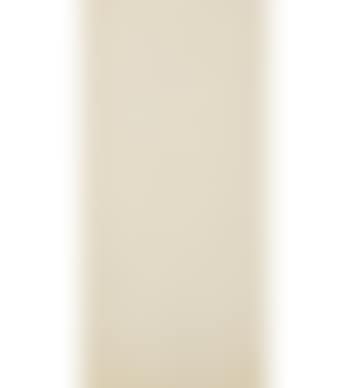 Untitled (Standing Nude) (preview)