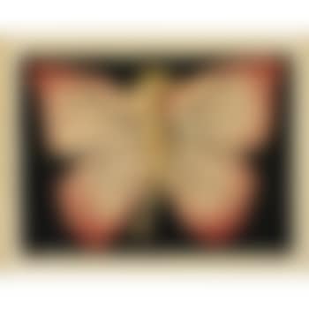 Papillon III  (H., C. & I. 455) (preview)