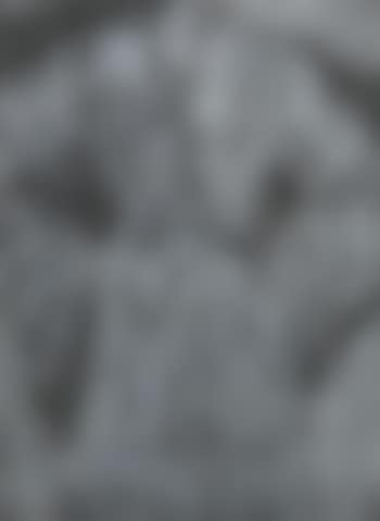 Grey sitting with Me (Carpenter 106) (preview)