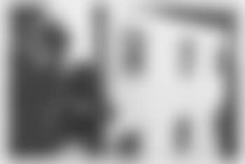 Mike sitting on the window sill (preview)