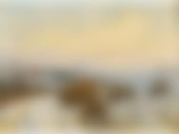 Deer at Glen Urquhart (preview)
