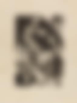 Springende Pferdchen (preview)