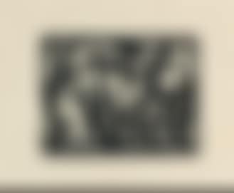 Wildpferdchen (preview)