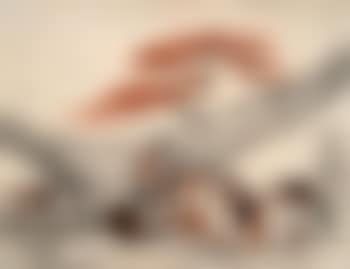 Paysage animé (preview)