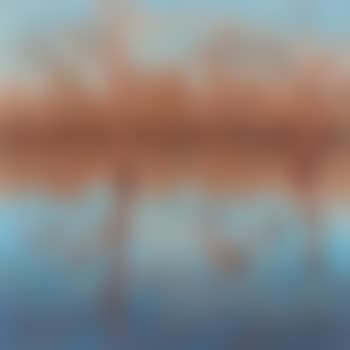 Late Afternoon At Barmah (preview)
