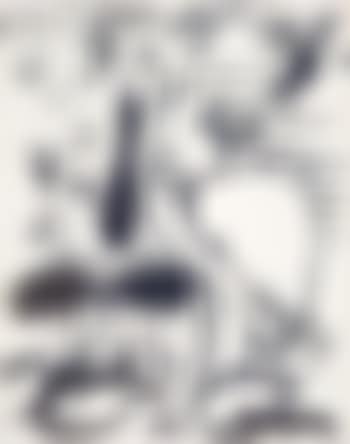 Royal Spoonbill (preview)