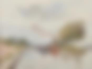 Mericourt (preview)