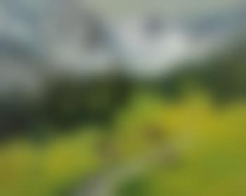Weidende Kuhherde in idyllischer Gebirgslandschaft (preview)