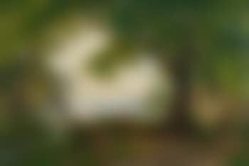 Am Sempachersee (preview)