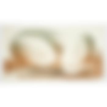[Untitled] (preview)