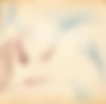 Espansion fiore (preview)
