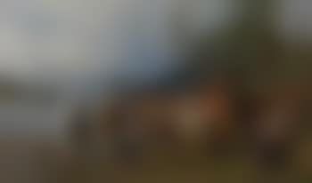 Fergested ved en innsjø (preview)
