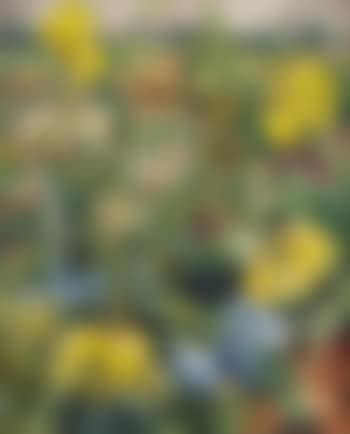 Paysage fleuri (preview)