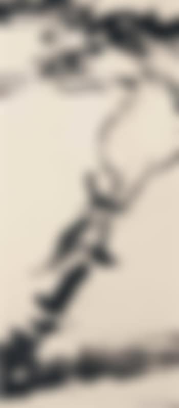 Sans Titre (preview)