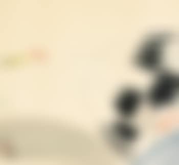 Oie en vol (preview)