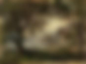 Chalet mit Steg (preview)