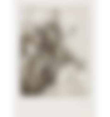 Knochen eines Vereinsmitglieds (1); Drachen-artig (2); Ohne Titel (3) (preview)