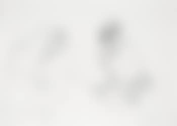 Ohne Titel (preview)