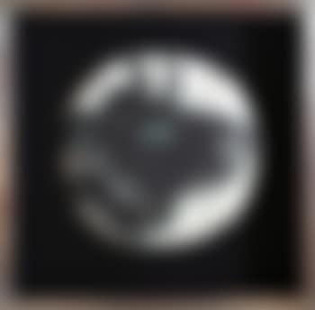 Profil de Taureau Fonce (preview)