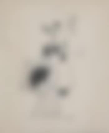 Composition (preview)