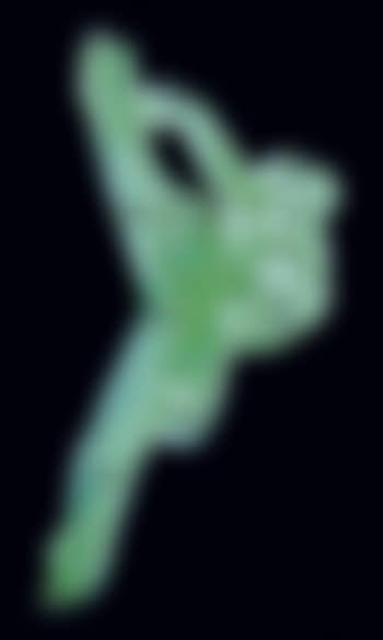 Ballerina (preview)