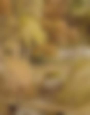 Near Chew Magna, Somerset (preview)