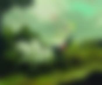 Two Elegant Ladies in a Horse Drawn Carriage (preview)