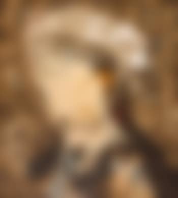 Retrato con mancha ocre (preview)