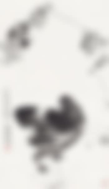 Rooster (preview)