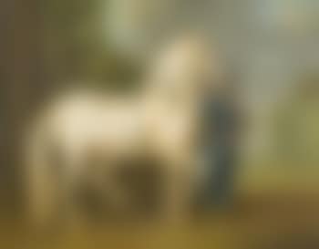 Lipizzanerhengst mit Tigerschecken-Komplex, präsentiert von einem Stallburschen (preview)