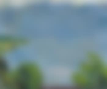 Landschaft (preview)