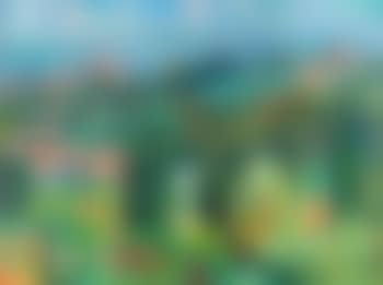 Blick auf die Boboli-Gärten (preview)