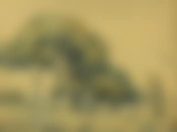 Les Arbres de Californie (preview)