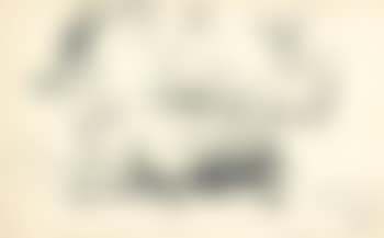 Ruhende Grantgazellen (preview)