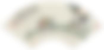 Figure (preview)