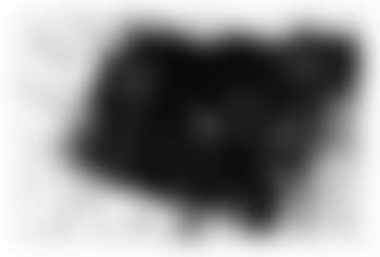 Untitled (L.222; SF.221) (preview)
