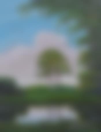 Backwaters Scene with Stand of Trees and Birds (preview)