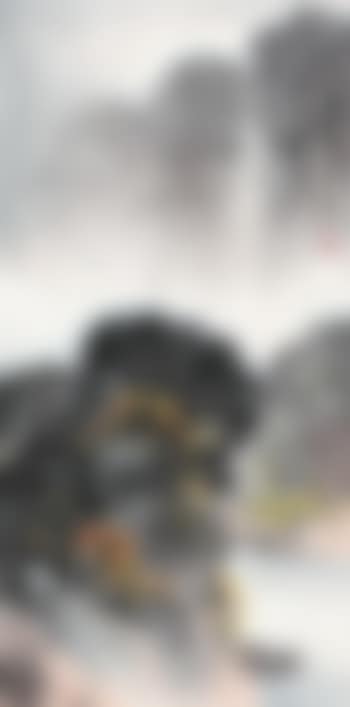 Landscape (preview)