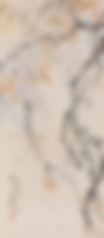 Wisteria (preview)