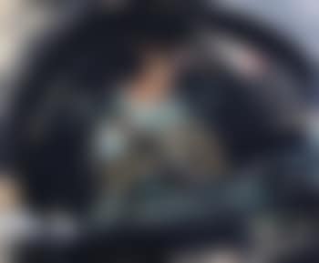 Il ratto di Paride (preview)