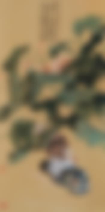 Mandarin Duck in Lotus Pond (preview)