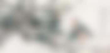 Figure (preview)