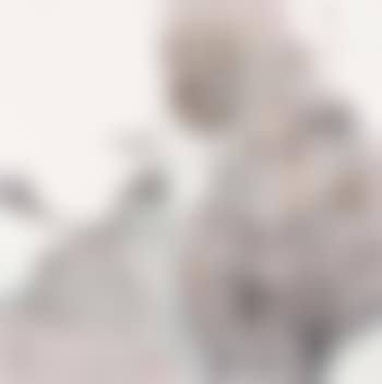 Lotus (preview)