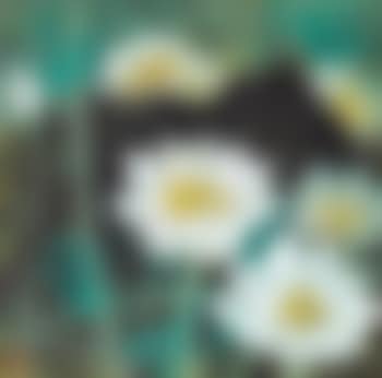 Blooming lotus (preview)